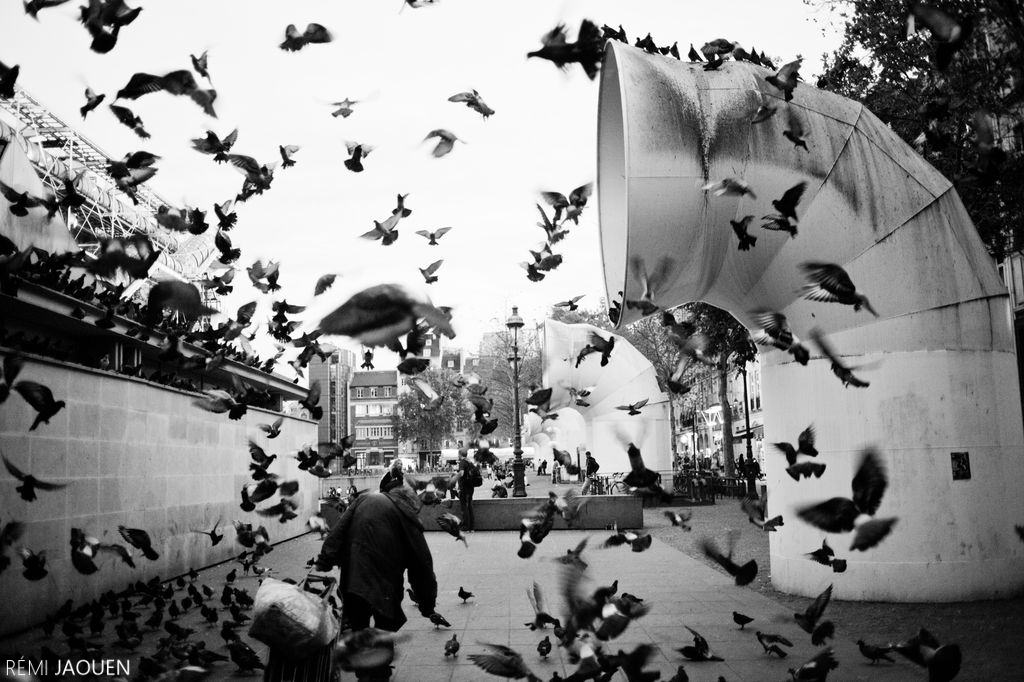 Photographe Paris - Serie People of Paris - Beaubourg - Giuseppe et ses pigeons