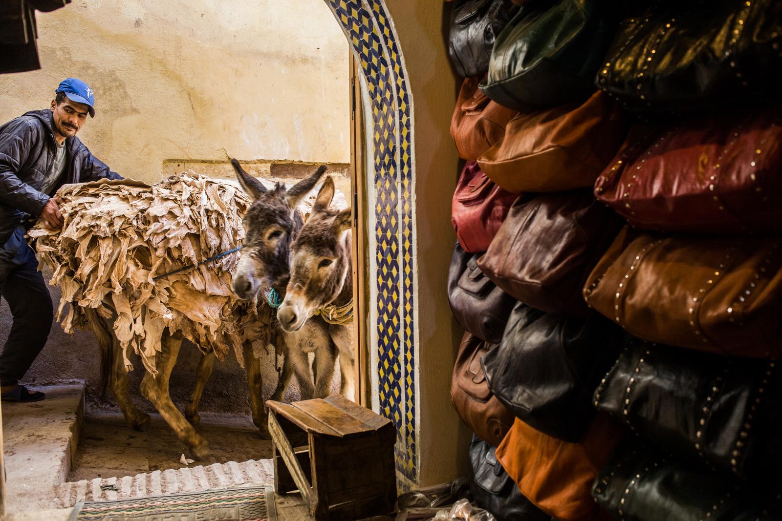 Medina de Fes Maroc, tanneurs - Rémi Jaouen photographe Paris